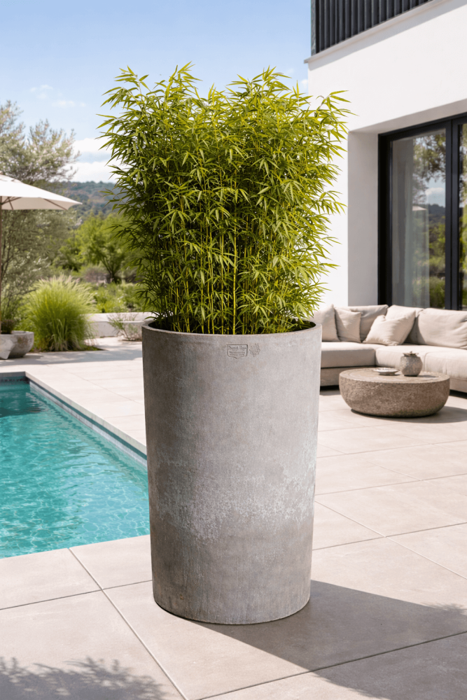 Grand pot moderne en terracotta grise d’Impruneta